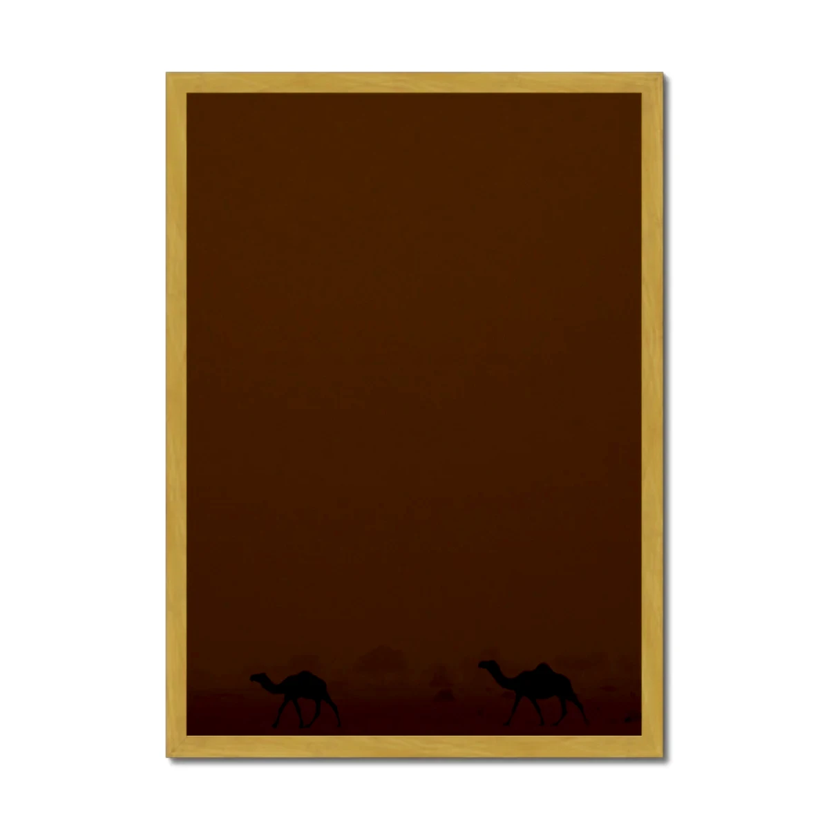 Roaming Camels II Riyadh