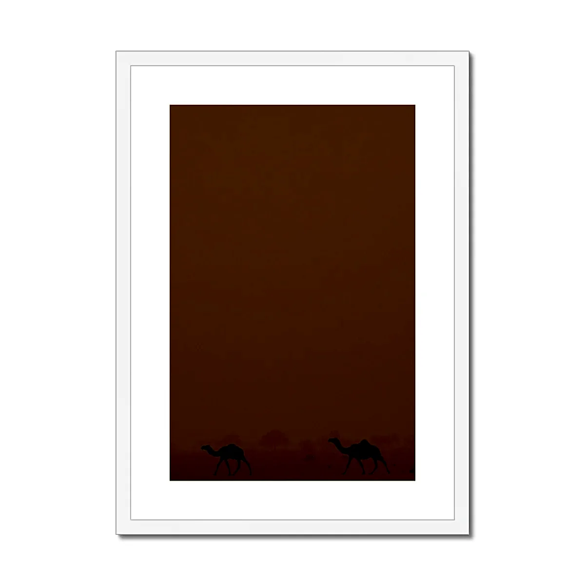 Roaming Camels II Riyadh