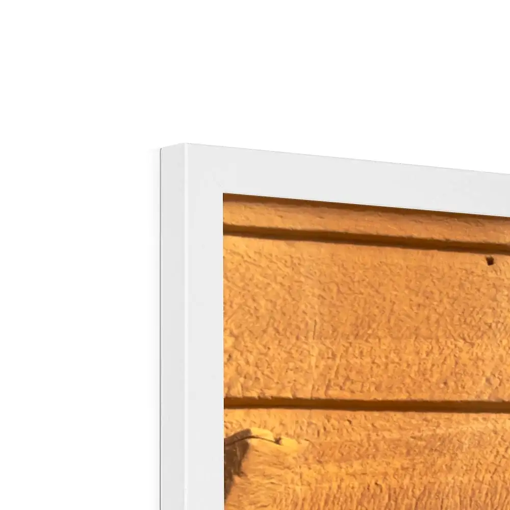 Hegra I | AlUla Collection