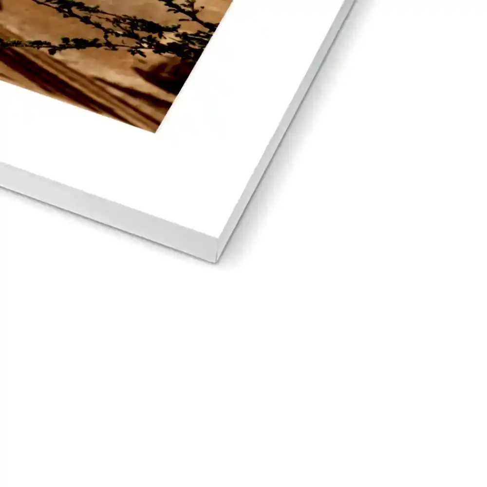 Hegra & Green Bee-Eater