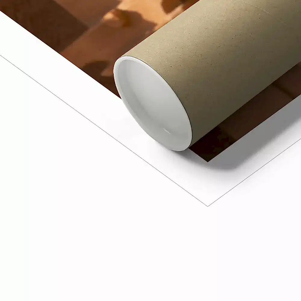 Hegra & Green Bee-Eater