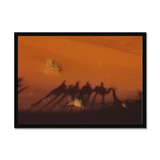 Desert Camel Caravan