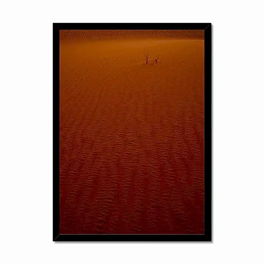 Arabian Sands | Tiger Lily Glow