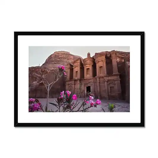 Ad Deir Bloom Petra