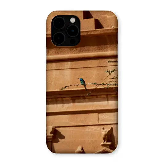 Hegra & Green Bee-Eater Snap Phone Case
