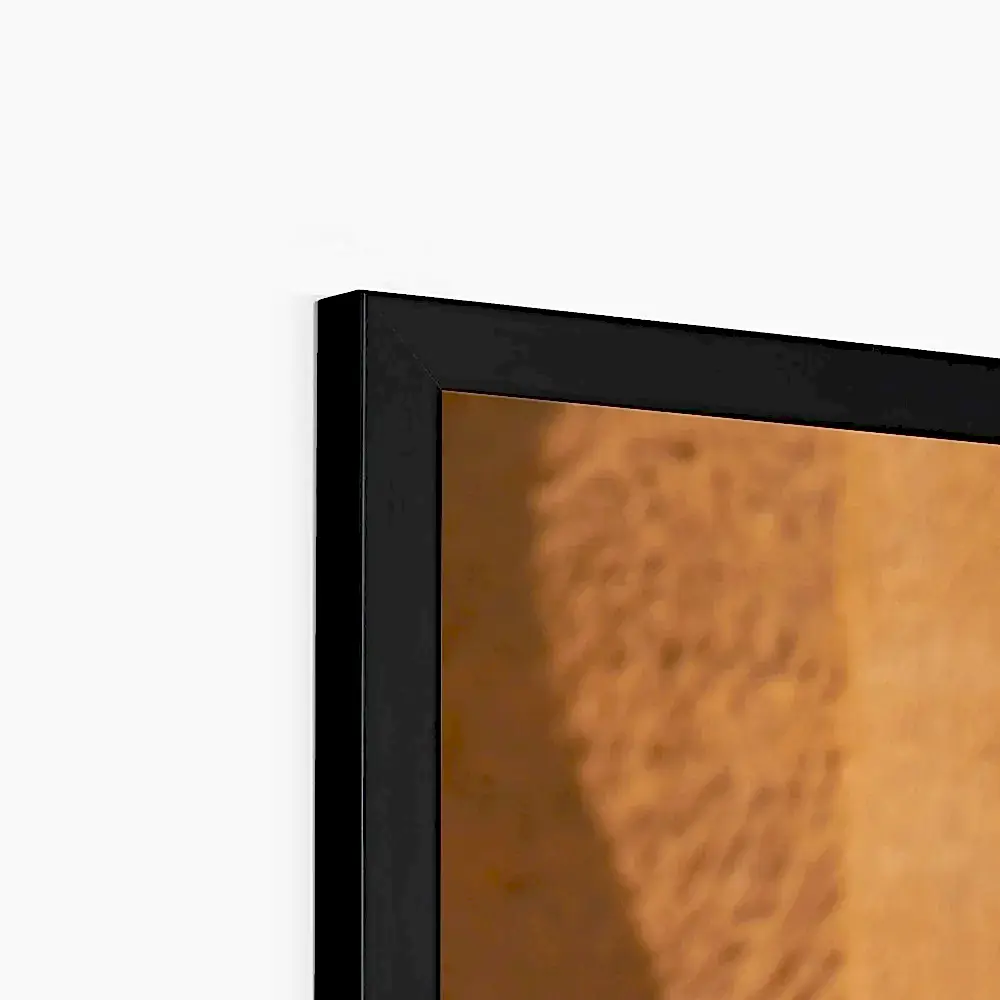 Hegra & Green Bee-Eater