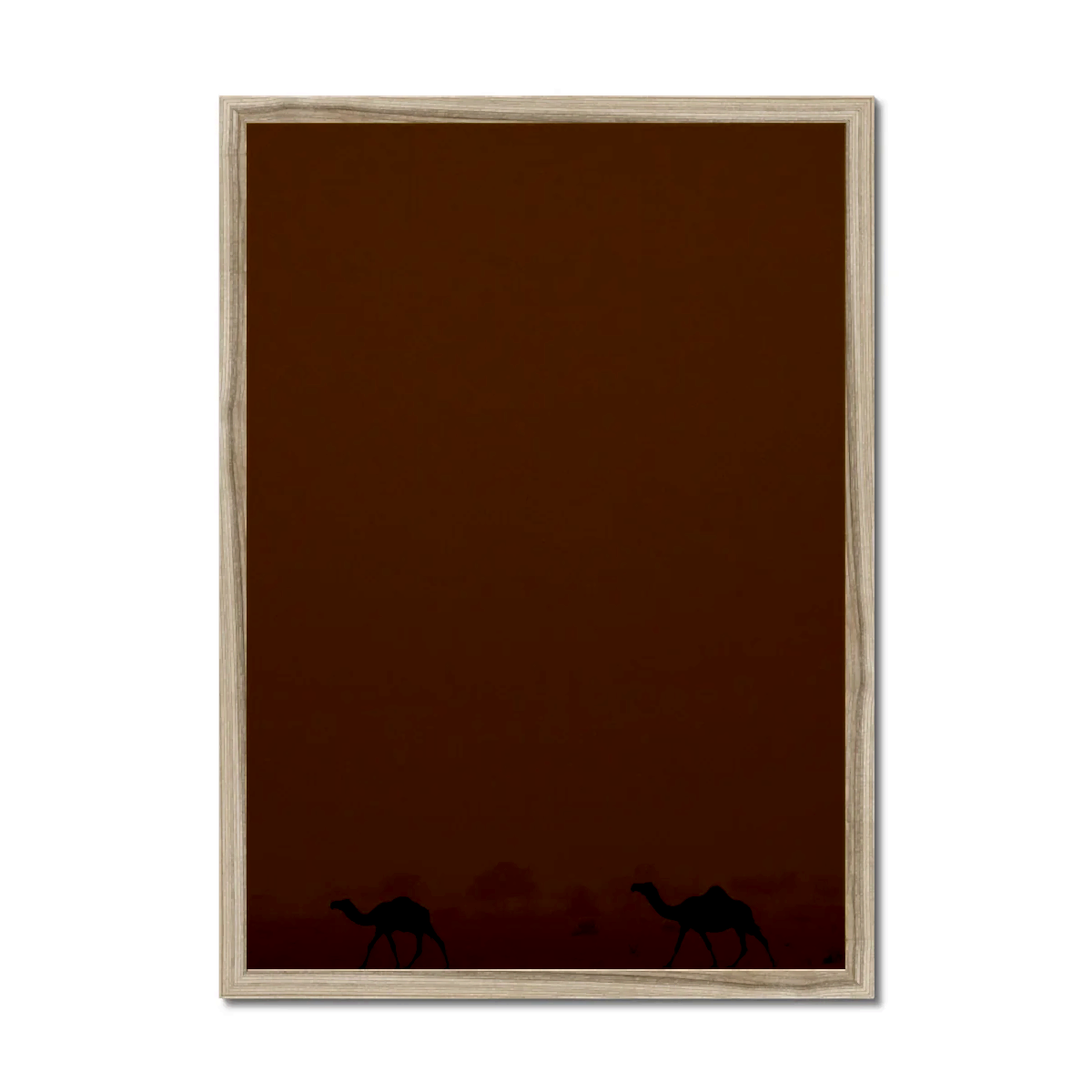 Roaming Camels II Riyadh