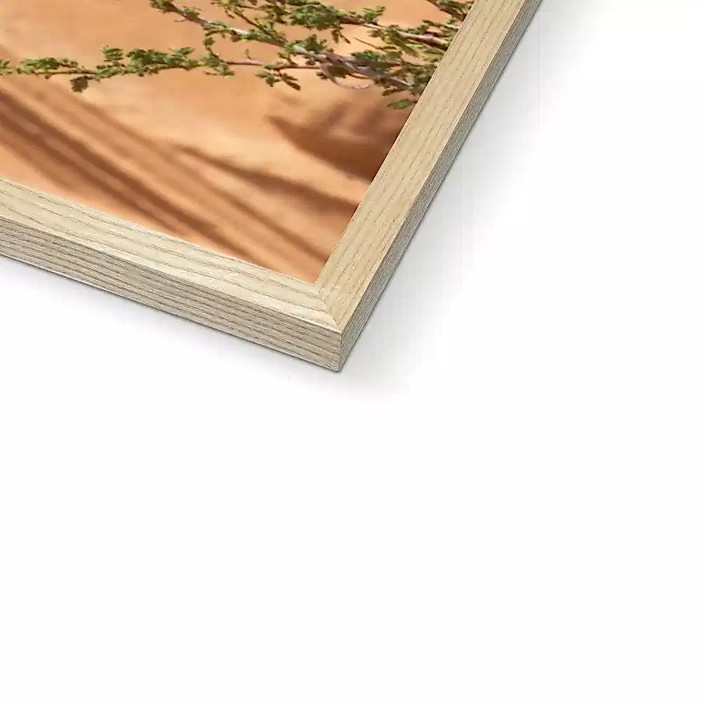 Hegra & Green Bee-Eater