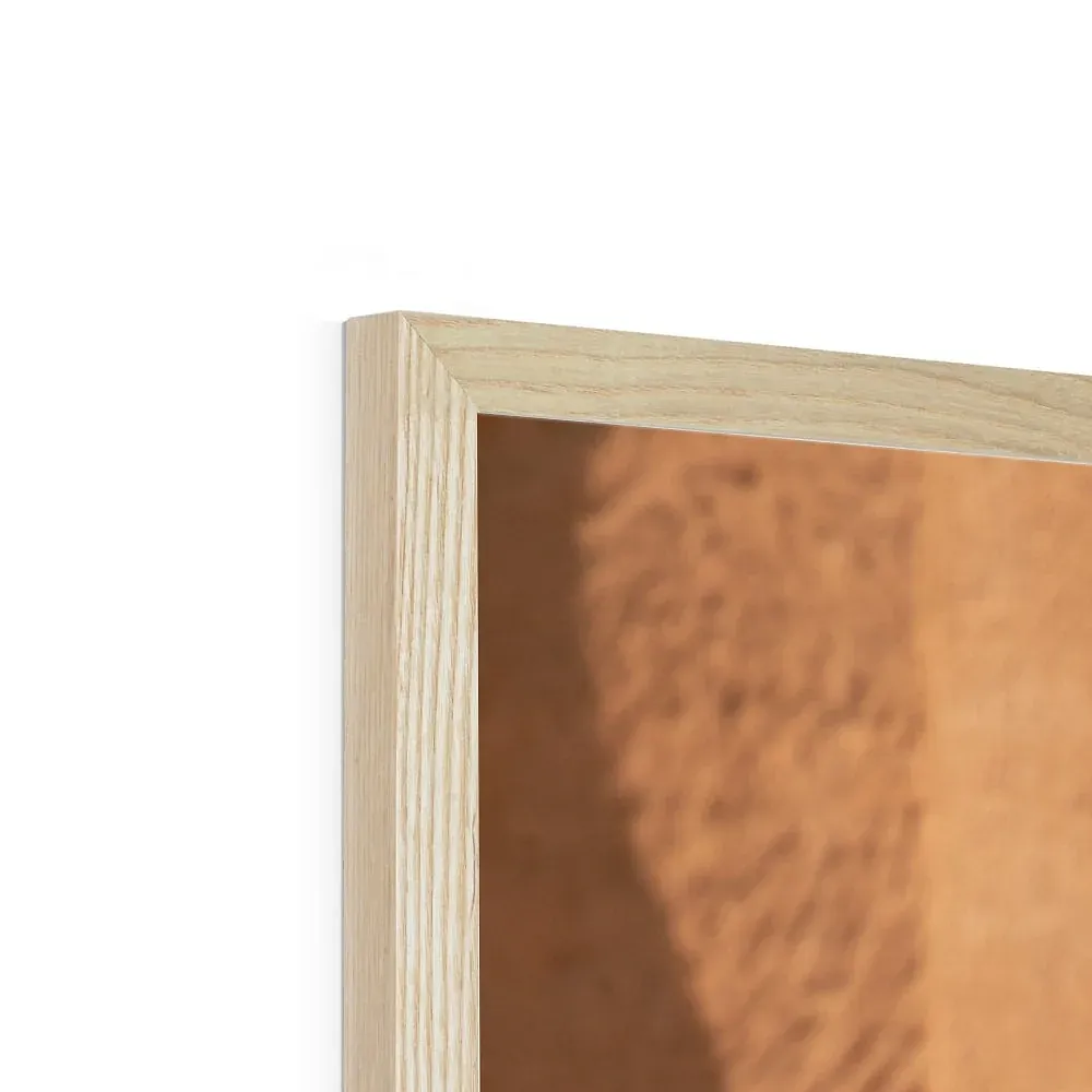 Hegra & Green Bee-Eater