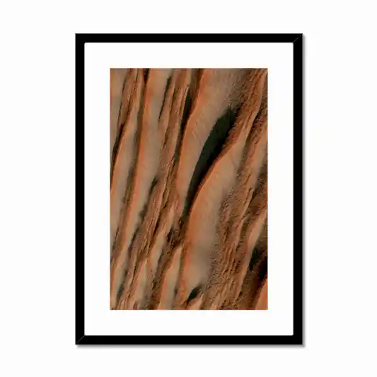 Arabian Sands | Coral Glow