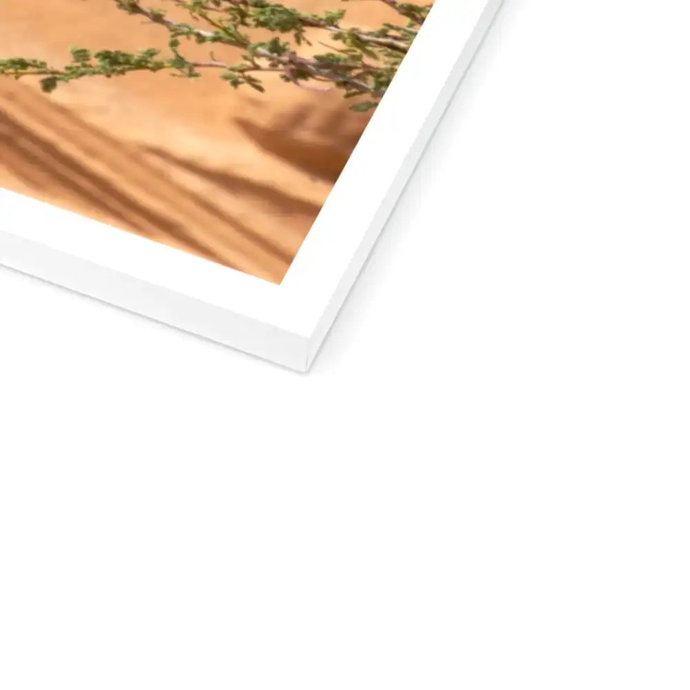 Hegra & Green Bee-Eater